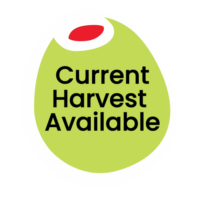 currentharvestavail-oliveimage